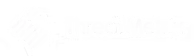 ThreatMetrix security logo